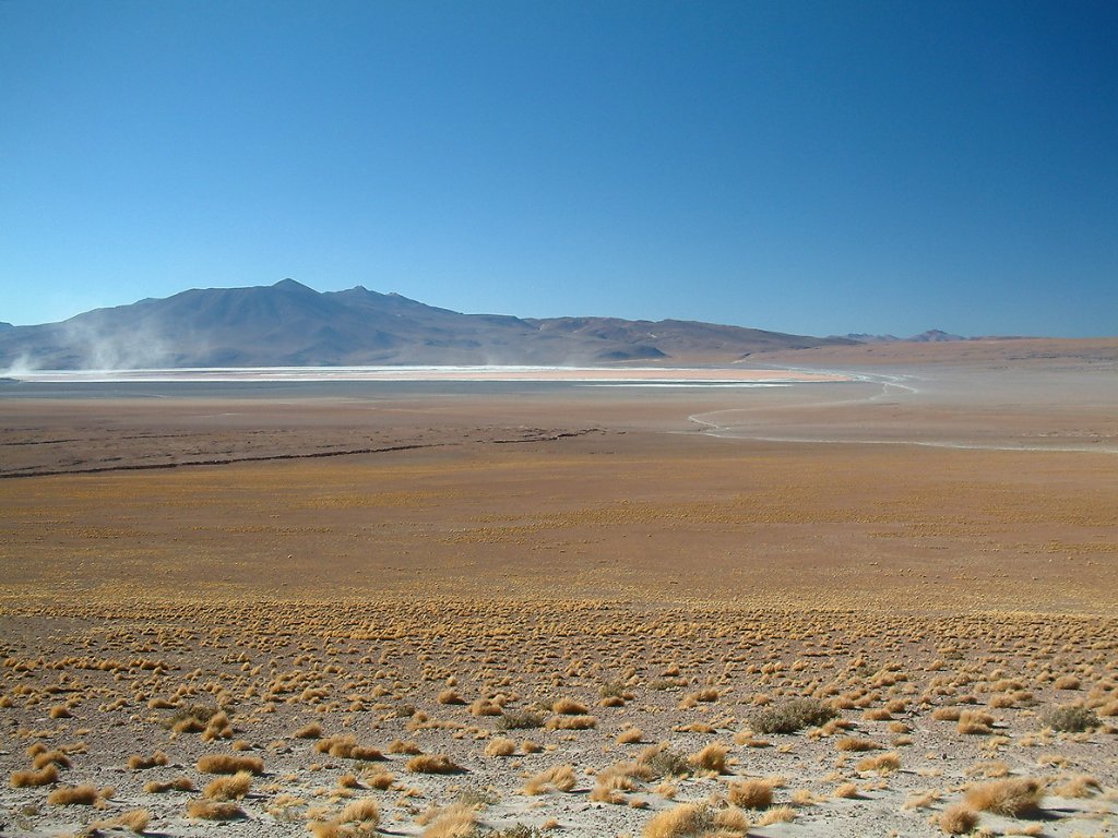 18-Salt cloud over Laguna Colorado.jpg - Salt cloud over Laguna Colorado